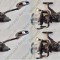 SET 4 Mulinete Crap PRO FL Strategist Baitfeeder SB8000 tambur Long Cast 0,30/420m