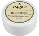 UNGUENT REUMATICUS 100ML (UNT.PAM.&amp;TAT.)