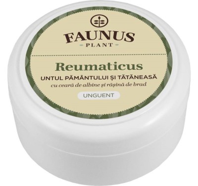 UNGUENT REUMATICUS 100ML (UNT.PAM.&amp;amp;TAT.) foto