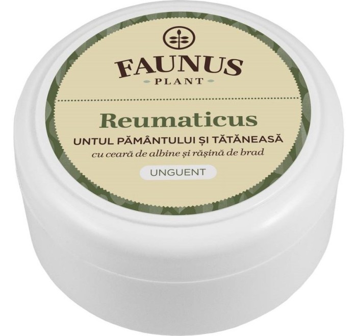 UNGUENT REUMATICUS 100ML (UNT.PAM.&amp;TAT.)