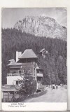 bnk cp Lacul Rosu - Vedere spre Suhard - uzata