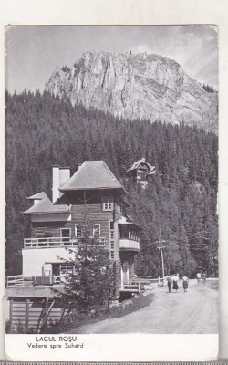 bnk cp Lacul Rosu - Vedere spre Suhard - uzata foto
