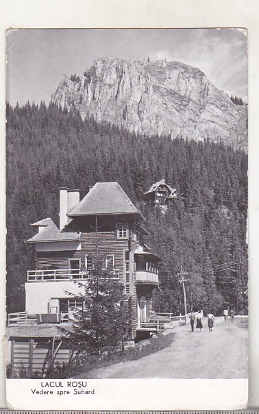 bnk cp Lacul Rosu - Vedere spre Suhard - uzata