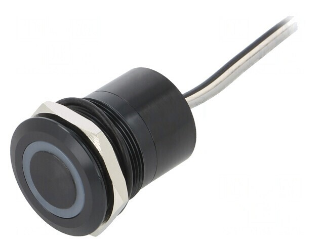 Comutator Capacitiv SPST-NO 12V IP68