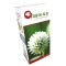Seminte trifoi alb 891, 0.5 kg