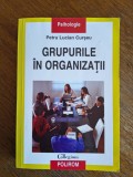 Grupurile in organizatii - Petru Lucian Curseu, stare buna, 2007 / R8P1F