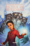 William Wenton si hotul de Luridium