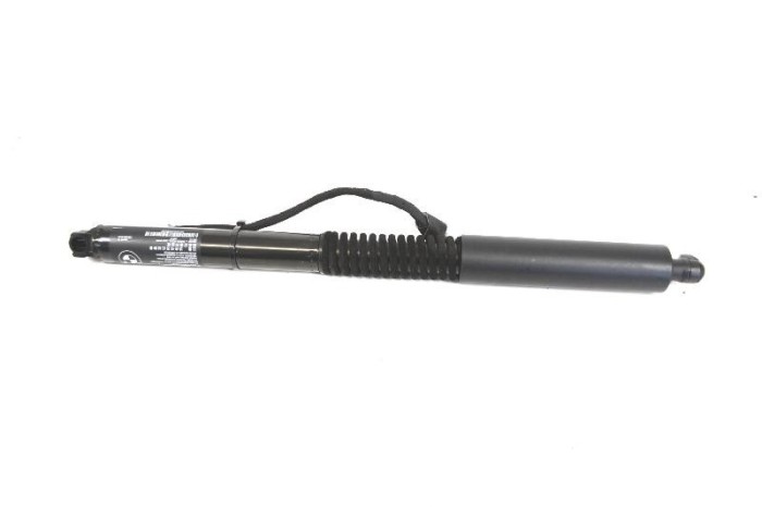 Amortizor haion dreapta BMW X3 G01, F97 2018 OEM: 7397322 3706604