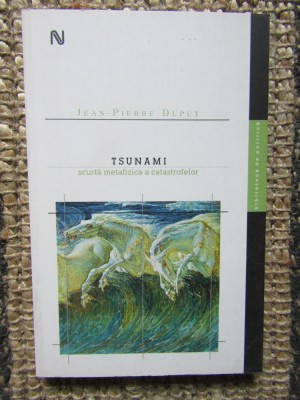 JEAN PIERRE DUPUY - TSUNAMI, SCURTA METAFIZICA A CATASTROFELOR foto