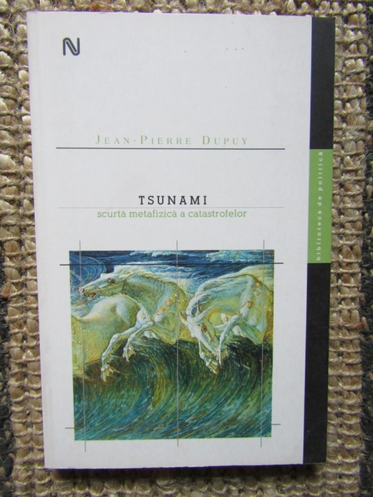 JEAN PIERRE DUPUY - TSUNAMI, SCURTA METAFIZICA A CATASTROFELOR