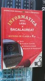 Cumpara ieftin INFORMATICA PENTRU LICEU SI BACALAUREAT CLASA A X A MATEESCU , MORARU