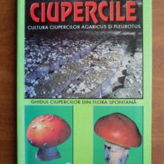 N. Mateescu - Ciupercile. Cultura ciupercilor Agaricus și Pleurotus