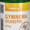 GYMNEMA SYLVESTRE 400MG 90CPS