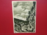 C.P.BICAZ -DEFILEUL