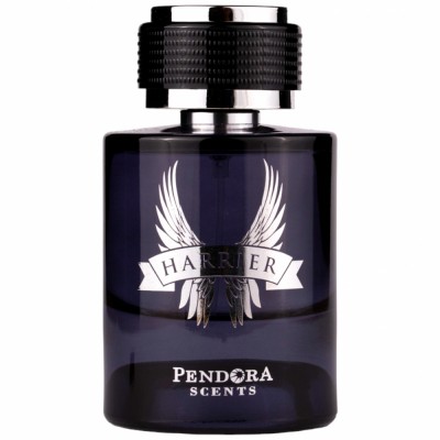 Harrier By Pendora Scents 100 ml - Inspirat din Invictus Paco Rabanne foto