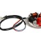 Stator Simson 6V