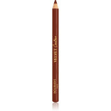 Cumpara ieftin Bourjois Velvet Contour creion contur buze culoare 12 Brunette 1,14 g