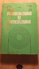 Pomicultura și viticultură,a negrila