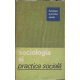 SOCIOLOGIA SI PRACTICA SOCIALA-COLECTIV-254967