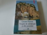 Noapte de sarbatoare si alte povestiri - Cesare Pavese, Polirom, Roman