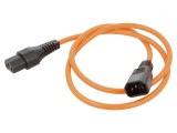 Cablu Blocare IEC LOCK 1m 10A C13-C14