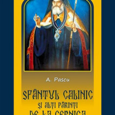 Sfântul Calinic şi alţi Părinţi de la Cernica - Paperback brosat - A. Pascu - Meteor Press