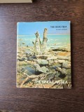 The Dead Sea - Peter Merom - editie bilingva engleza/ebraica