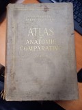 AS - V. GHETIE - ATLAS ANATOMIE COMPARATIVA ( vol 1,2), (cotor ușor deteriorat)