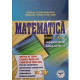 MATEMATICA CLASA A XI-A, ALGEBRA SUPERIOARA, ANALIZA MATEMATICA-CATALIN PETRU NICOLESCU, MADALINA YUPARI Z.-347217