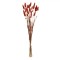 Ramuri Decorative Artificiale, Model Bunny Tails, Culoare Maro, &Icirc;nălțime 60cm, Set 25 Bucăți