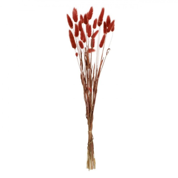 Ramuri Decorative Artificiale, Model Bunny Tails, Culoare Maro, &Icirc;nălțime 60cm, Set 25 Bucăți