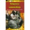 Foto  - 1