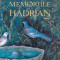 Memoriile lui Hadrian ? Marguerite Yourcenar