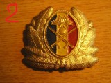 QW14 - Emblema militara / cuc - uscat - anii 1990 - piesa de colectie