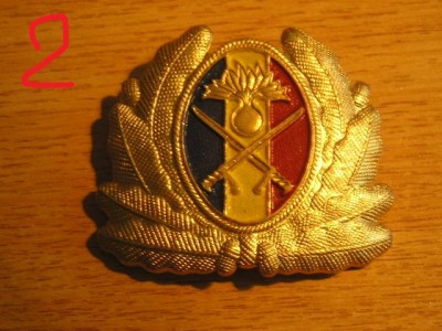 QW14 - Emblema militara / cuc - uscat - anii 1990 - piesa de colectie foto