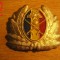 QW14 - Emblema militara / cuc - uscat - anii 1990 - piesa de colectie