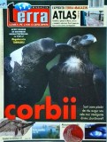 Terra Magazin. Corbii. Sunt oare pasari de rau augur sau cele mai inteligente