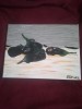 TABLOU PE PANZA CU SASIU NOU 30X40 CM VINETE PRET DOAR 20 LEI