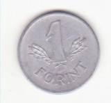 Ungaria 1 forint 1976., Europa