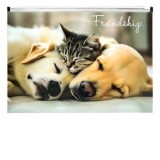 Mapa personalizata cu fermoar A4 PP Panta Plast, motiv Friendship