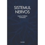 Sistemul nervos - Cristina Furnica