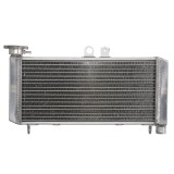 RADIATOR HONDA CBF 600 2004 2007