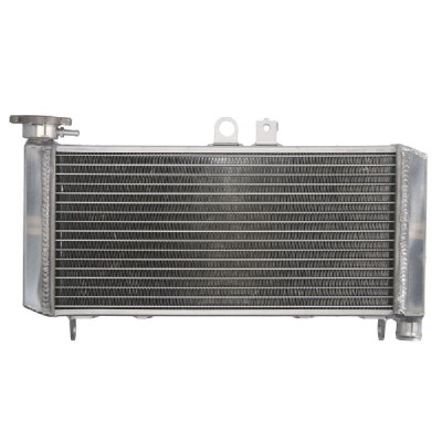 RADIATOR HONDA CBF 600 2004 2007 foto