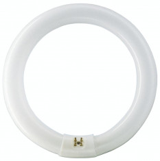 Tub Fluorescent Circular T9 32 W, Evotools, 660744, 31x31x4 cm foto