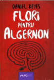 Flori pentru Algernon - Hardcover - Daniel Keyes - Young Art