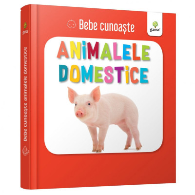 Animalele domestice - Bebe cunoaste foto