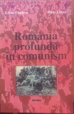 Rom&acirc;nia profundă &icirc;n comunism - Liviu Chelcea, Puiu Latea, Editura Nemira, București, 2000 - Carte de Politică