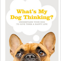 What's My Dog Thinking?: Understand Your Dog to Give Them a Happy Life