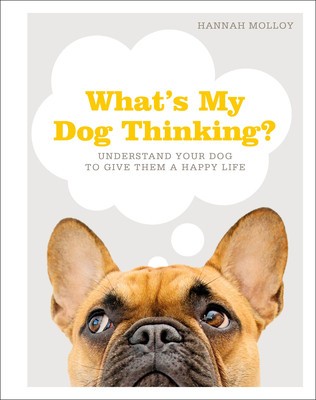 What&amp;#039;s My Dog Thinking?: Understand Your Dog to Give Them a Happy Life foto