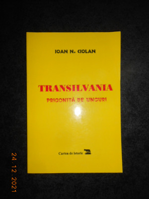IOAN N. CIOLAN - TRANSILVANIA PRIGONITA DE UNGURI foto